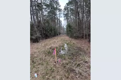 408 Possum Park Road, Houston, TX 77338 - Photo 19