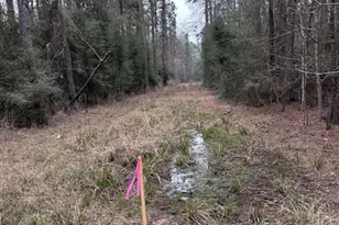 408 Possum Park Rd, Houston, TX 77338 - Photo 19