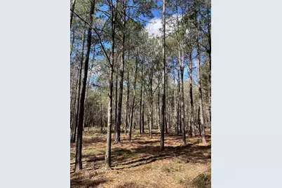 Tbd Dedication Trail, Huntsville, TX 77340 - Photo 5