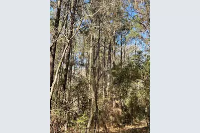 Tbd Dedication Trail, Huntsville, TX 77340 - Photo 9