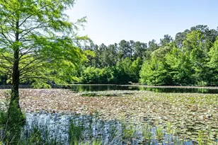 1331-A McCaleb Rd, Montgomery, TX 77316 - Photo 7