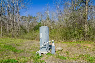 314 County Road 904, Alvin, TX 77511 - Photo 11