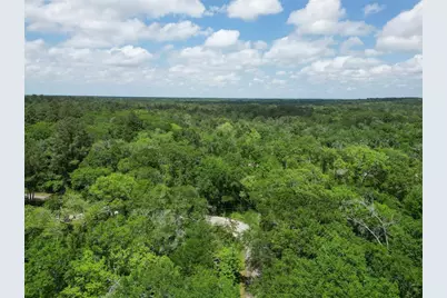 38000 Park View Drive, Hempstead, TX 77445 - Photo 3