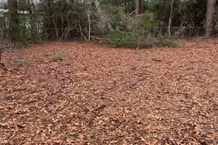 Tbd Pecan, Onalaska, TX 77360 - Photo 1