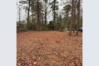 Tbd Pecan, Onalaska, TX 77360 - Photo 3