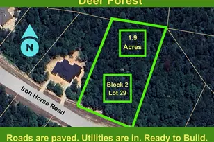 126 Iron Horse Rd, Willis, TX 77378 - Photo 1