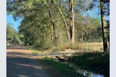 24780 Green Forest Drive, Splendora, TX 77372 - Photo 5