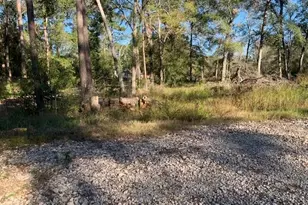 24780 Green Forest Dr, Splendora, TX 77372 - Photo 1