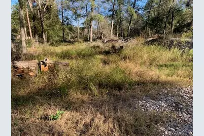 24780 Green Forest Drive, Splendora, TX 77372 - Photo 7