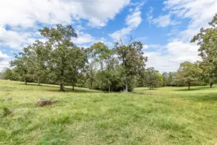 1505 Co Rd 2135, Crockett, TX 75835 - Photo 1