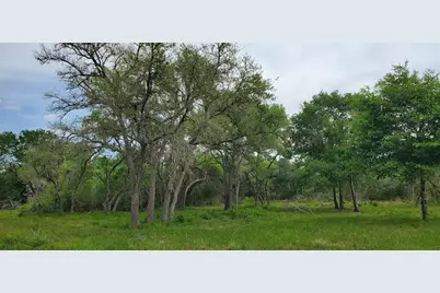 Tbd Specklebelly Lane Lot 251, Columbus, TX 78934 - Photo 5