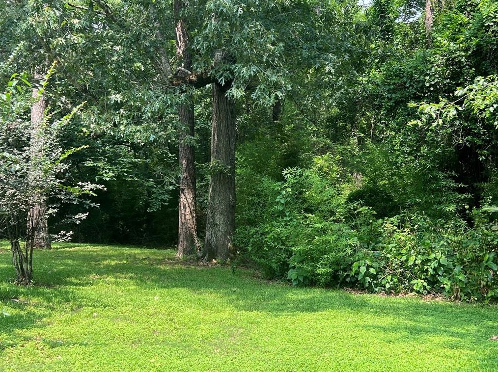 26221 Peach Crk, Roman Forest TX 77357-6910 exterior