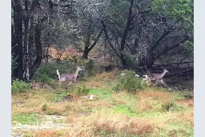 150 Cave Springs Drive, Wimberley, TX 78676 - Photo 5