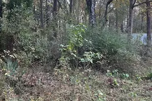 19874 Crystalwood Estates Dr, New Caney, TX 77357 - Photo 5