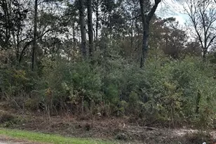 19874 Crystalwood Estates Dr, New Caney, TX 77357 - Photo 13