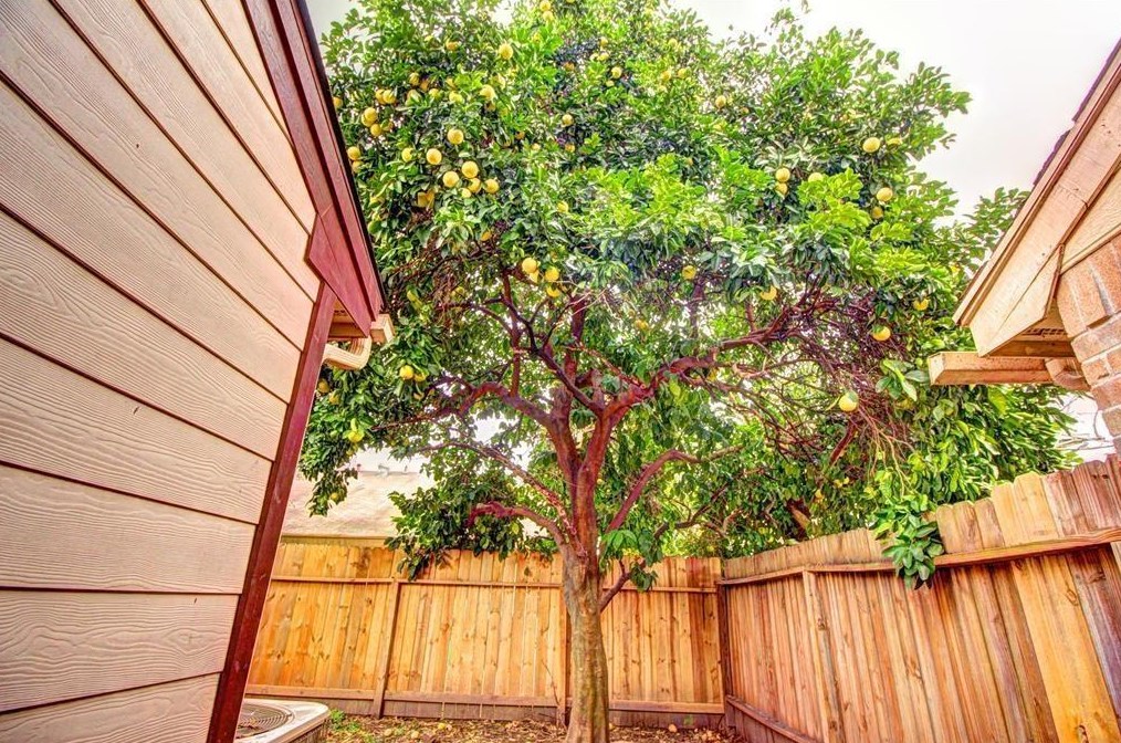 11818 Plumpoint Dr, Houston TX  77099-3137 exterior