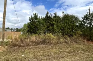 511 County Rd 5017, Cleveland, TX 77327 - Photo 1