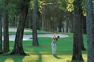 23 Ripple Rush Ct, The Woodlands, TX 77381 - Photo 31