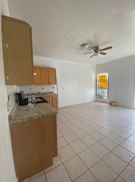 1422 Hawthorne St, Houston TX  77006-3752 exterior