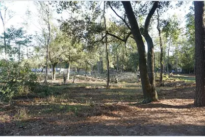 424 S Avenue D, Humble, TX 77338 - Photo 3