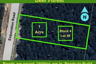 344 Exploration Rd, Willis, TX 77378 - Photo 1