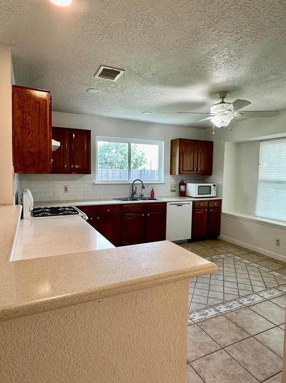 13507 Chipman Gln Dr, Houston TX  77082-5012 exterior
