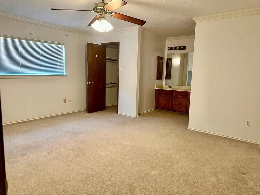 13507 Chipman Gln Dr, Houston TX  77082-5012 exterior