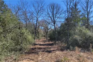 Lot 26 Forest Glen Ct, Franklin, TX 77856 - Photo 33