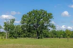 6781 Atakapan Trl, Bedias, TX 77831 - Photo 1