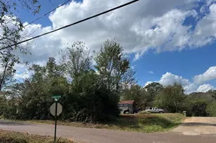 110 N Bolivar St, San Augustine, TX 75972 - Photo 9