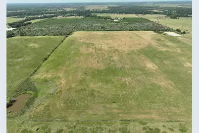 14177 E Ueckert Road, Bellville, TX 77418 - Photo 13