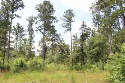 Tr 8 Oak Hill Trail, Kennard, TX 75847 - Photo 11