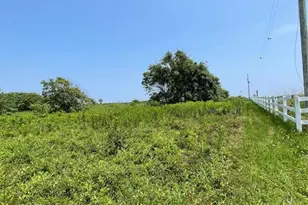 672 Hwy 87, Gilchrist, TX 77617 - Photo 3