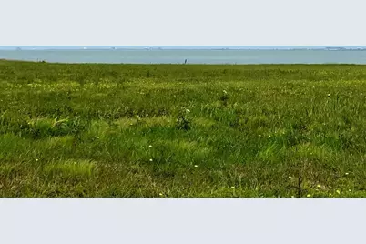 1780 County Road 372 Road, Palacios, TX 77465 - Photo 7