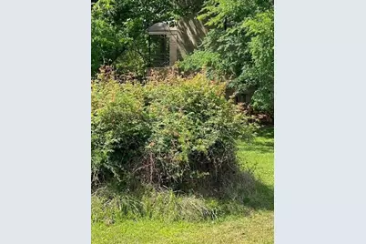 11823 Thoreau Drive, Montgomery, TX 77356 - Photo 15