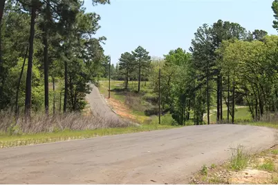 Tract 164 Private Road 1311, Centerville, TX 75833 - Photo 9