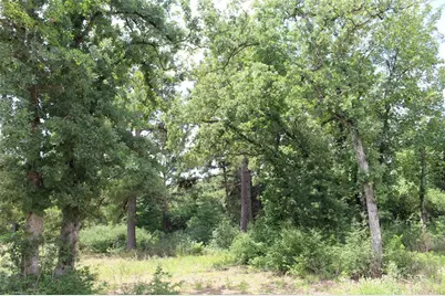 Tract 164 Private Road 1311, Centerville, TX 75833 - Photo 23