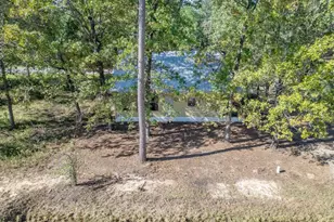 326 W Woodland Shores Dr, Point Blank, TX 77364 - Photo 9