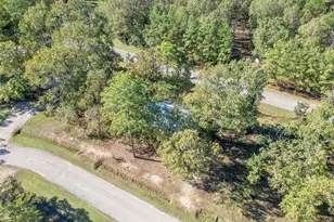 326 W Woodland Shores Dr, Point Blank, TX 77364 - Photo 13