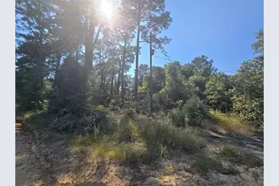 R20785 County Road 3325, Colmesneil, TX 75938 - Photo 3