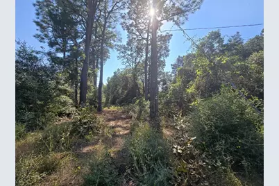 R20785 County Road 3325, Colmesneil, TX 75938 - Photo 7