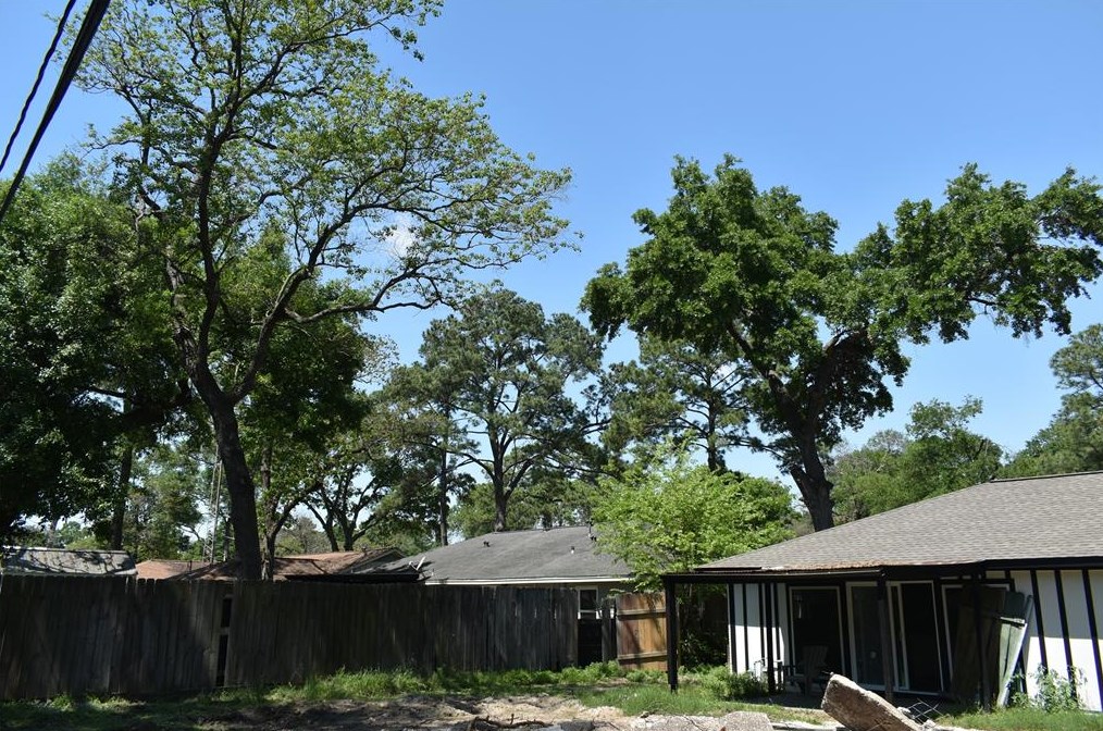 10303 Eddystone Dr, Houston TX  77043-3326 exterior
