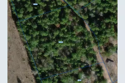 000 County Road 2135, Crockett, TX 75835 - Photo 7