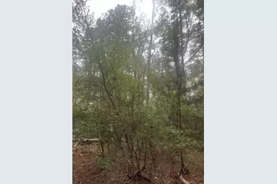 000 County Road 2135, Crockett, TX 75835 - Photo 5