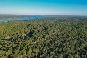 Tbd Lake Mount Pleasant Rd, Montgomery, TX 77356 - Photo 27