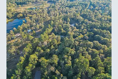 Tbd Lake Mount Pleasant Road, Montgomery, TX 77356 - Photo 19