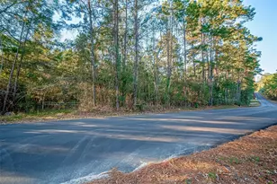 Tbd Lake Mount Pleasant Rd, Montgomery, TX 77356 - Photo 5