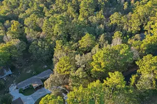 Tbd Lake Mount Pleasant Rd, Montgomery, TX 77356 - Photo 13