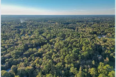 Tbd Lake Mount Pleasant Road, Montgomery, TX 77356 - Photo 21