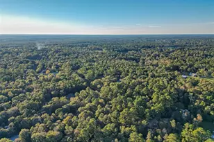 Tbd Lake Mount Pleasant Rd, Montgomery, TX 77356 - Photo 21